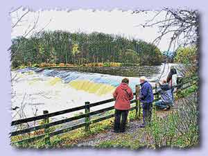 philiphaugh salmon viewing centre s