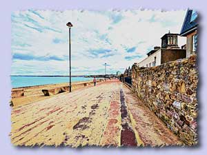 portobello s