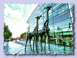 omni centre edinburgh s