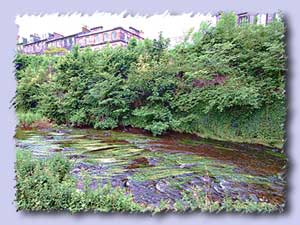 water of leith s